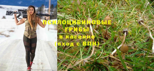mdpv Зеленодольск