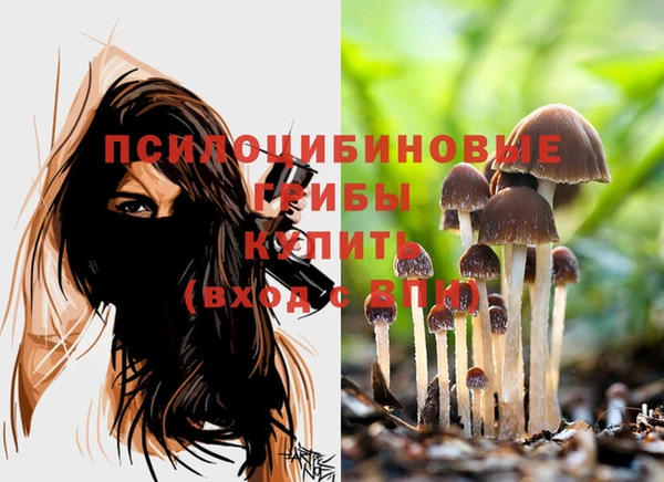 mdpv Зеленодольск
